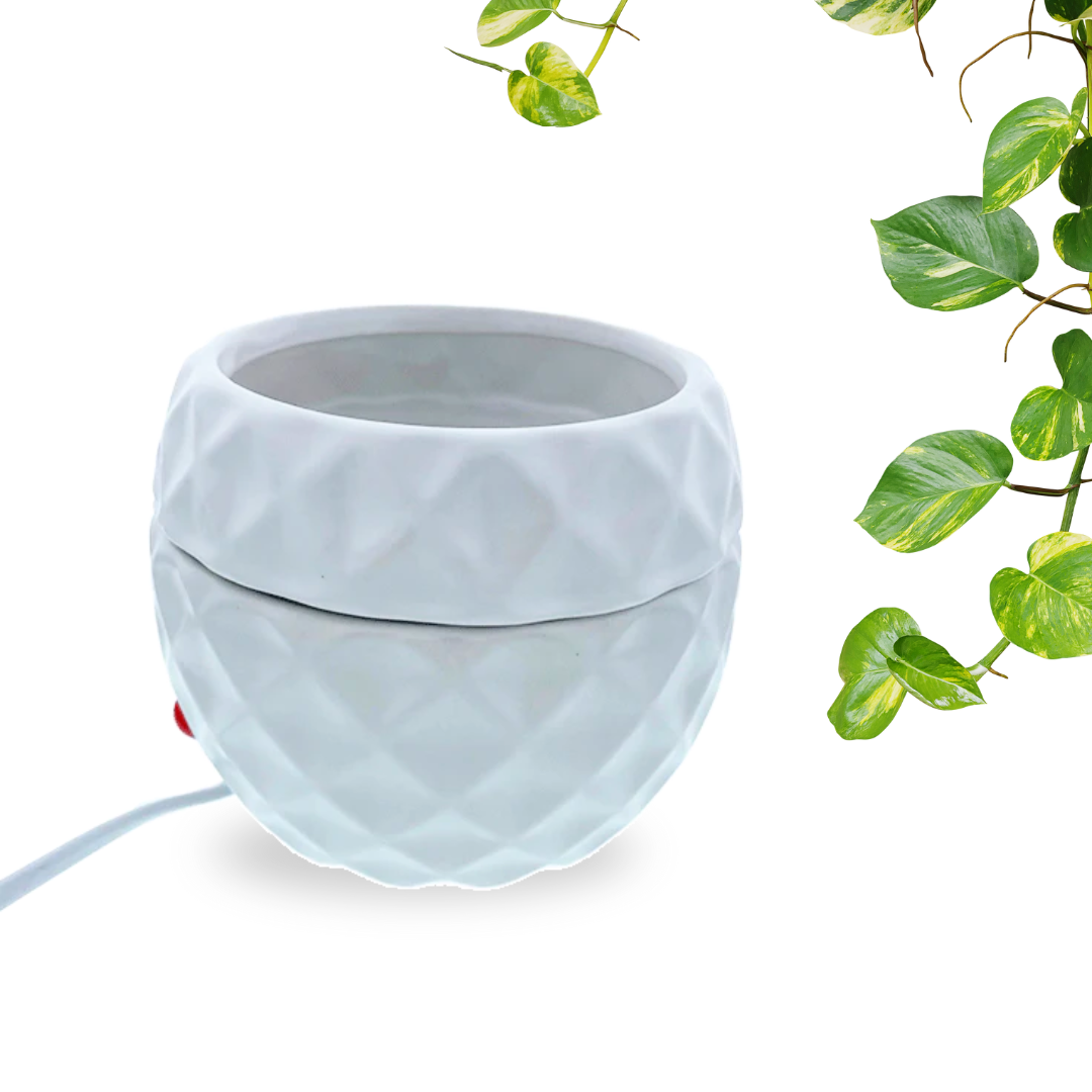 Electric Melt Warmer