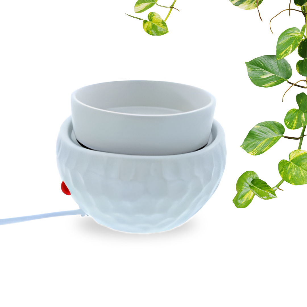 Electric Melt Warmer