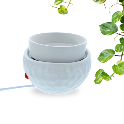 Electric Melt Warmer